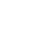 V8