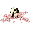 cute panda