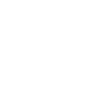 Dandelion wish