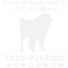 Ovcharka Caucasian Shepherd