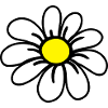 daisy_flower