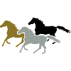 Herd of Galloping Horses