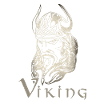 Vikings, Vikings, Warriors