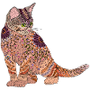 Cat Mandala