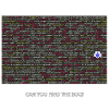 Programmeur, codeur, bugs, débogage