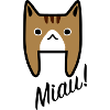 Oh cat!
