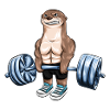 Otter Weight Lifting Gift Gym Fitness Men