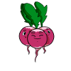 radish