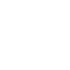 The Original