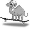 camel