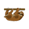 Sloth Running