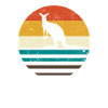 kangaroo