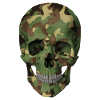 Camouflage Skull