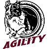595 Agility