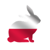 Polska Rabbit | Poland Polish flag
