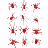 Araignées araignées
