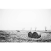 Mecklenburg Expanse