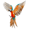 parrot