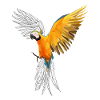 parrot