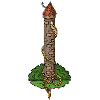 rapunzel