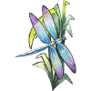 dragonfly