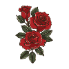 Red roses