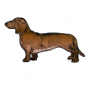 LORD DACKEL