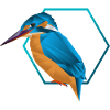 Low poly kingfisher / bird