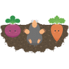 Vegetables and mole 2