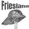 friesland schwarz
