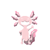 Anatomi af en Axolotl lærer gave