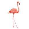 Flamingo, Flamingos polygon geometrisch