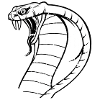 Cobra