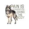 Pain is Weakness