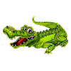 Crocodile drôle