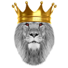 Il re leone Nato per essere un re corona