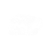 buffalo