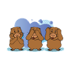 capybara pigs