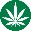 Marijuana