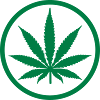 Marijuana