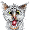 Chat heureux