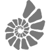 ammonite