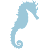 Seepferdchenform 0