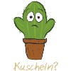 Cactus cuddle, squeeze, hug, gold