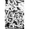 grafitti black white