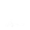 Belgian Malinois cycling