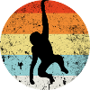 Schimpanse Chimpanse