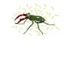 Robo Beetle robot insect