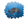 Robo Turtle Fantasy Robot