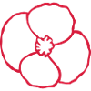 coquelicot fleur 02